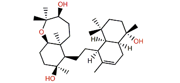 Sipholenol L
